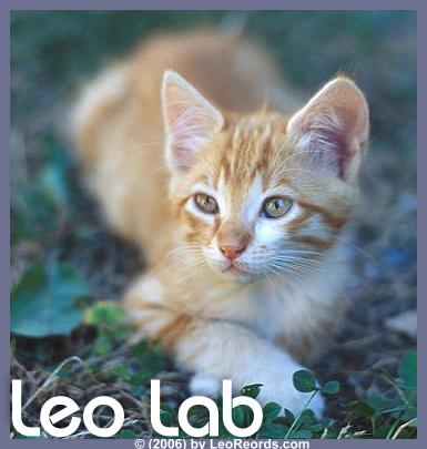 Leo Lab logo